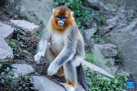 玉合公園怎麼樣？漫步其中，感受綠意盎然與人文之魅